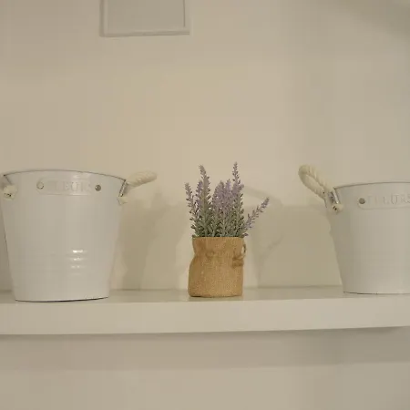 The Loft Appartement